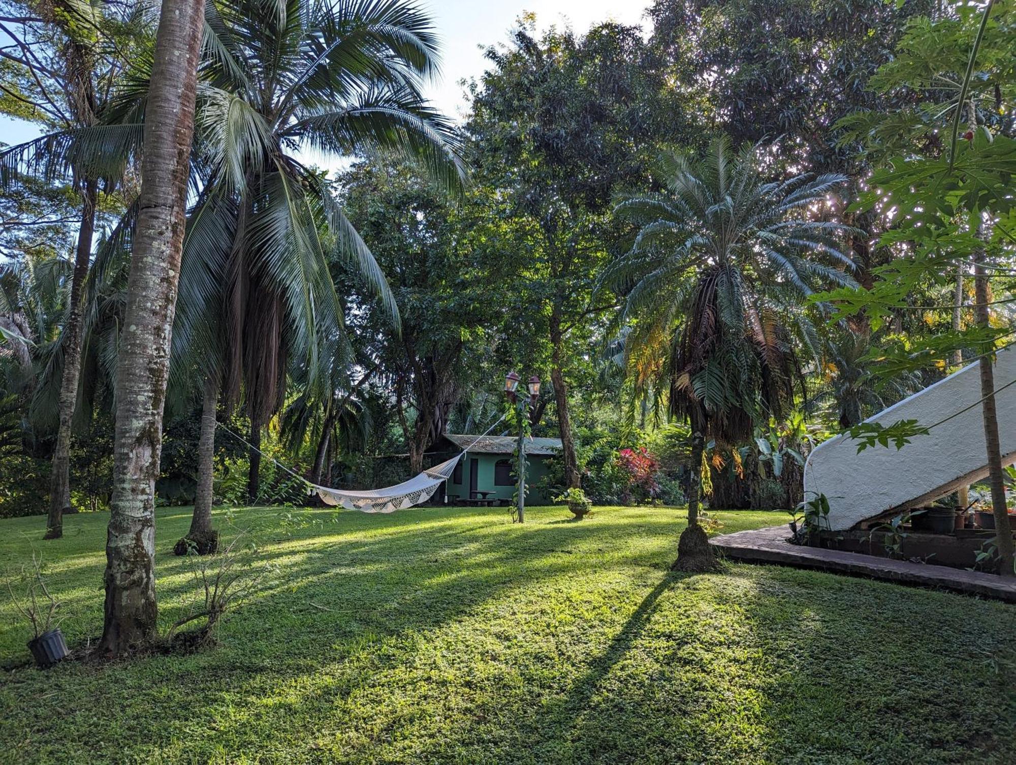 Spirit Of Jungle Lodge Sámara Exteriér fotografie