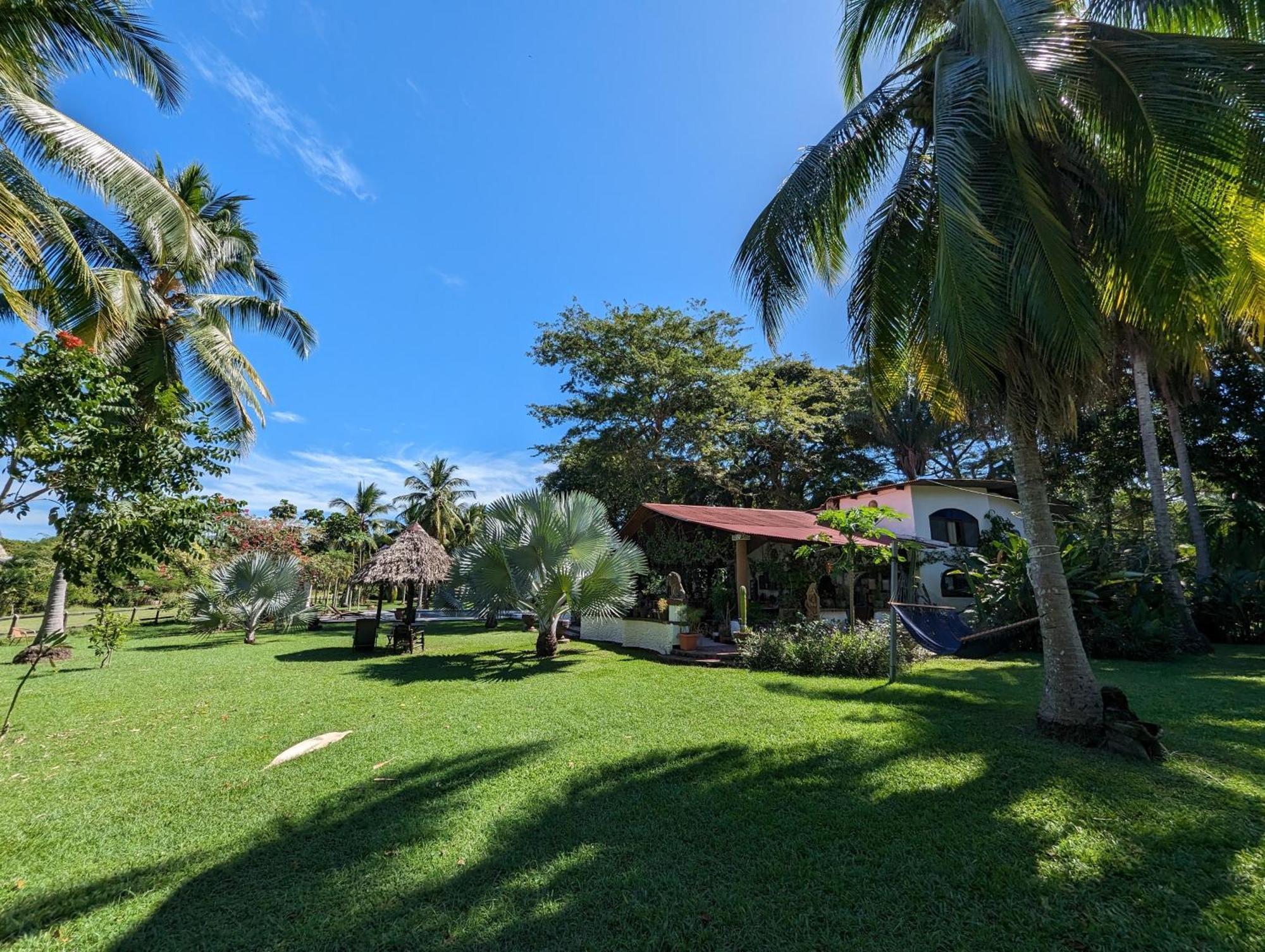 Spirit Of Jungle Lodge Sámara Exteriér fotografie